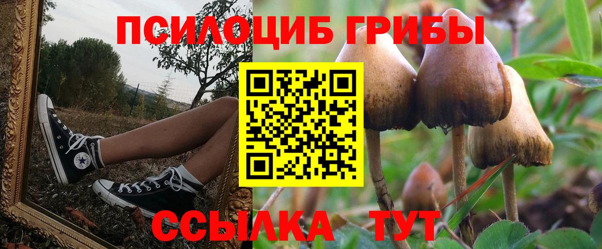 Строитель  Галлюциногенные грибы Magic Shrooms  как найти закладки  Вход с VPN 